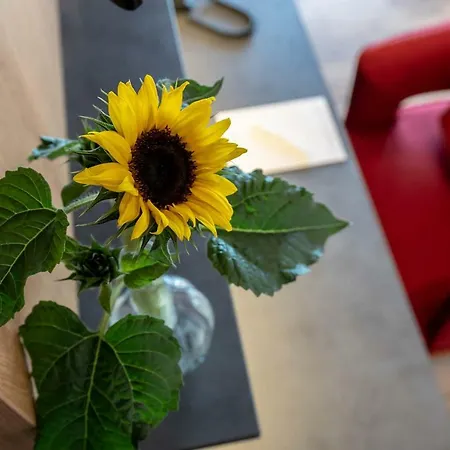 Augsburg Sonnenhof Hotel Gersthofen